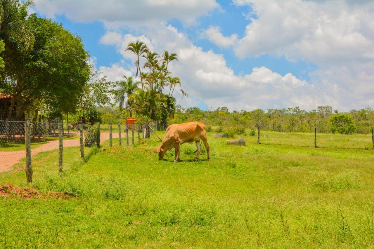 Fazenda Capoava Villa Itu Ngoại thất bức ảnh