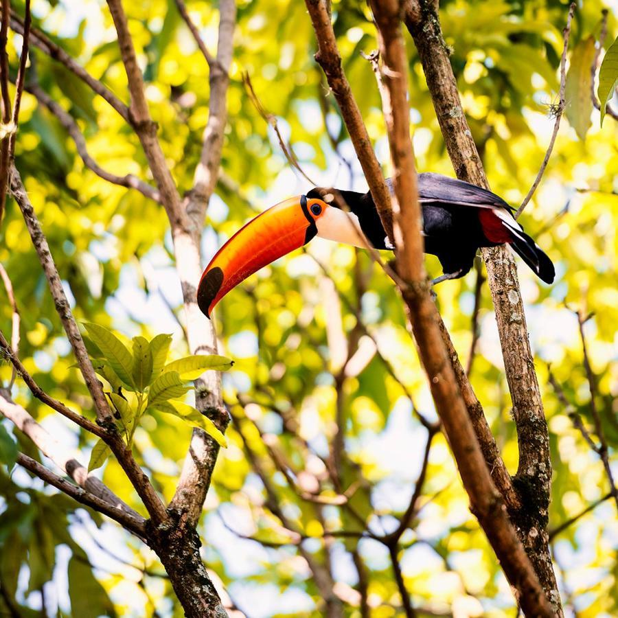 Fazenda Capoava Villa Itu Ngoại thất bức ảnh