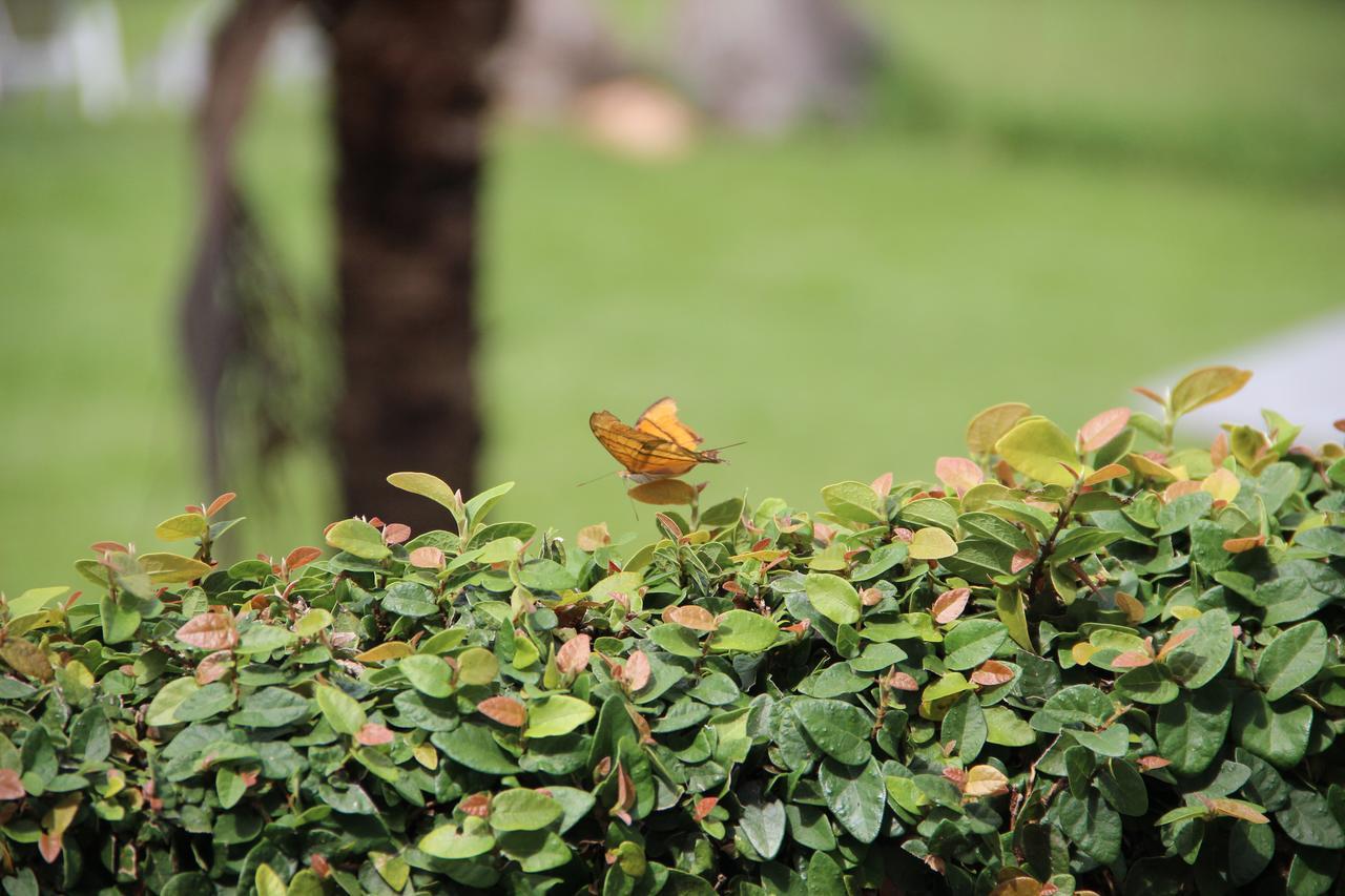 Fazenda Capoava Villa Itu Ngoại thất bức ảnh